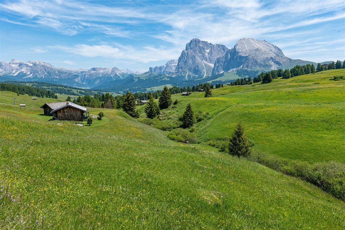 Prairie alpine et montagnes - espace et apaisement des angoisses